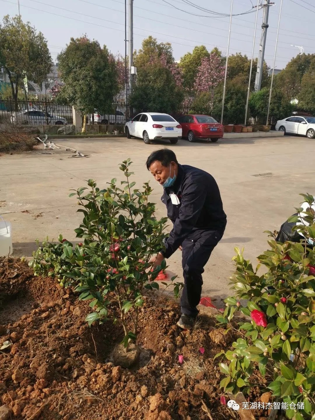 科杰公司綠化植樹(shù)