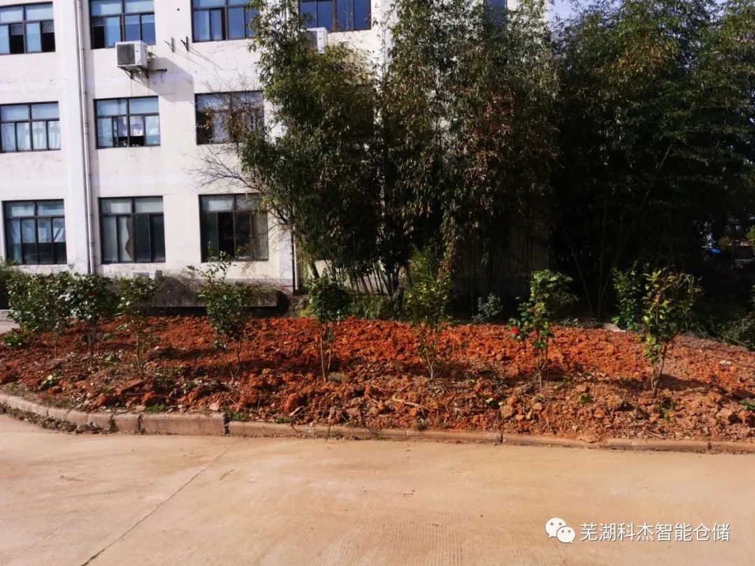 科杰廠區(qū)種植綠化全景圖