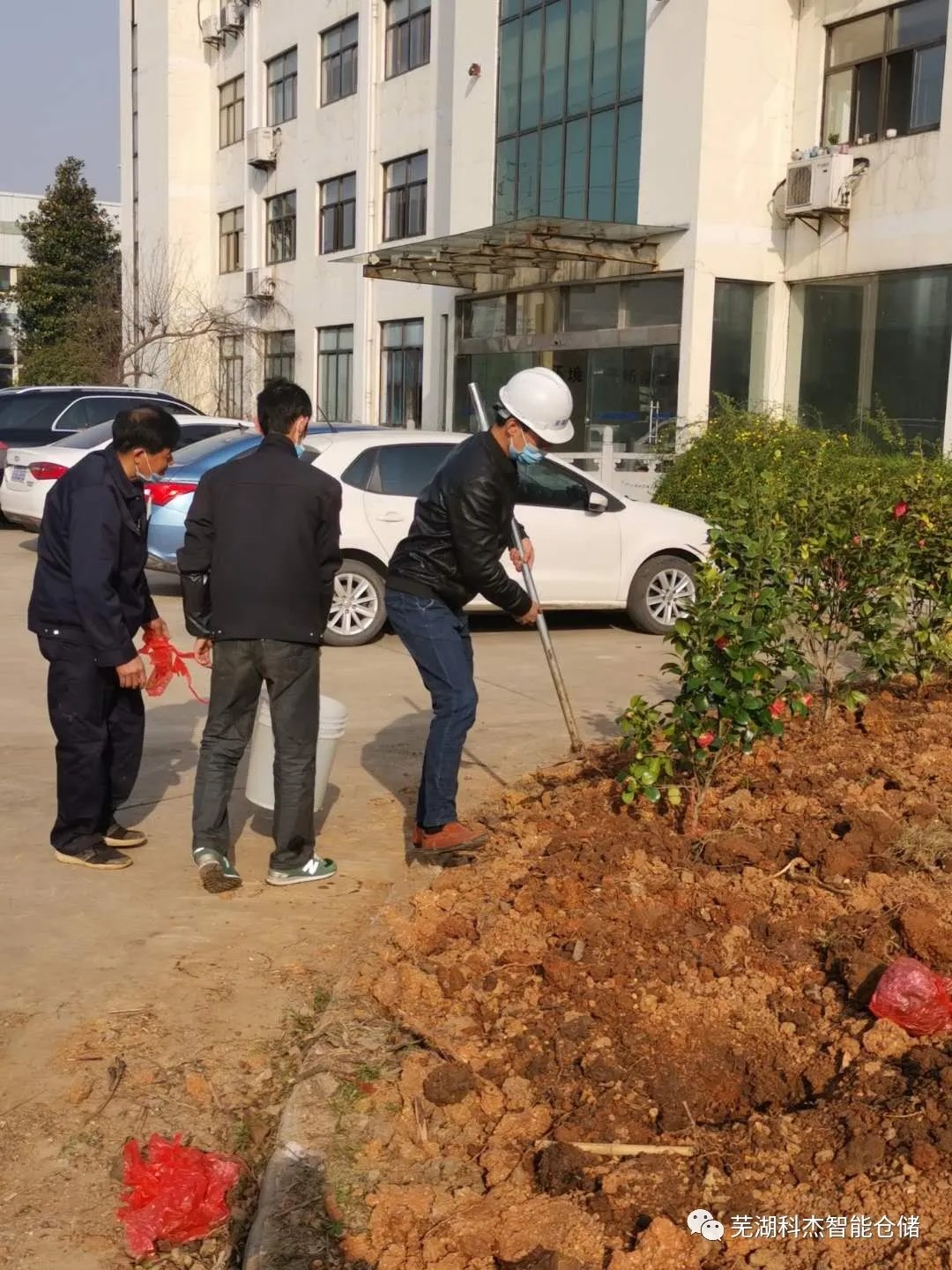 科杰立庫(kù)托盤貨架綠化植樹(shù)