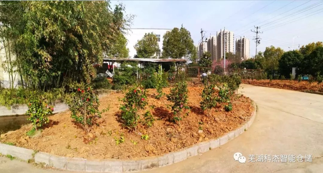 科杰貨架種植綠化
